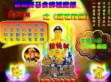APP说明